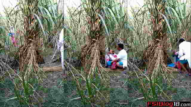 XXX Indian Viral: Jungle Lust Unleashed in Banned Village
